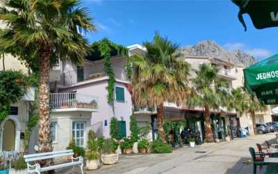 Podgora